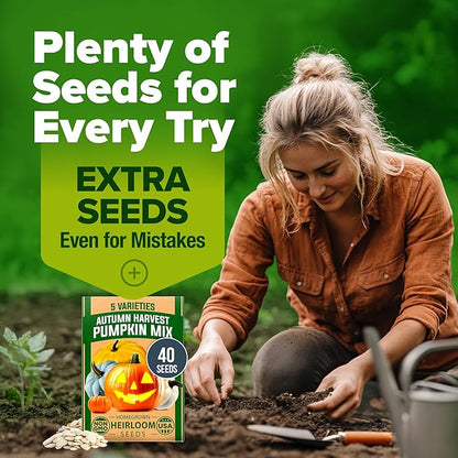 HOME GROWN Non GMO 5 Pumpkin Seeds Mix - 40 Seeds Heirloom Pumpkin for Planting Ideal Garden for Unique Varieties Yellow Paris and Casper, Culinary and Decorative Use
