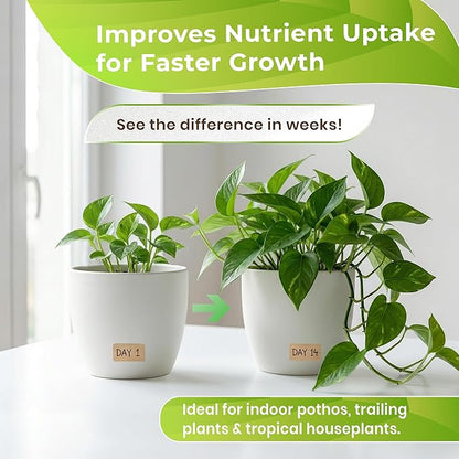 Professional Pothos Soil Potting Mix 2.2 Quarts Ready to Use, Premium Indoor Plant Soil for Pothos Plants, Pothos Dirt with Peat Moss Coco Coir Perlite Dolomite, Made in USA