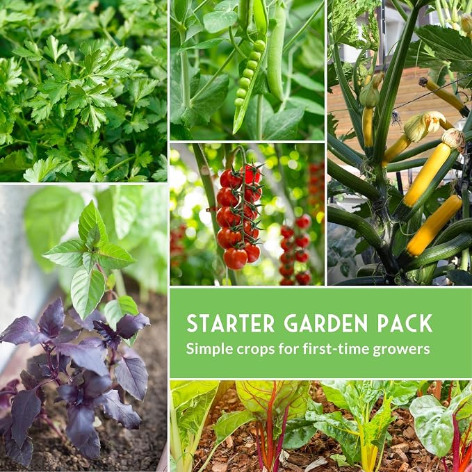 Easy to Grow Vegetable & Herb Seed Collection - 10 Packs of Non-GMO Heirloom Open-Pollinated Veg & Herb Essentials for Gardening Beginners - Seed Saver Instructions on Packets - Survival Garden Seeds