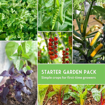 Easy to Grow Vegetable & Herb Seed Collection - 10 Packs of Non-GMO Heirloom Open-Pollinated Veg & Herb Essentials for Gardening Beginners - Seed Saver Instructions on Packets - Survival Garden Seeds
