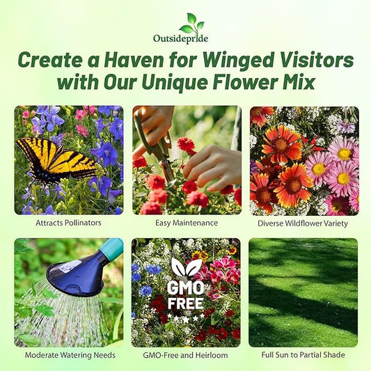 Outsidepride Birds & Butterfly Wild Flower Seed Mix - 1 Lb. Premium Blend of Annual & Perennial Wildflower Seeds for Attracting Songbirds, Hummingbirds, & Butterflies