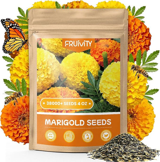Tri-Color French Marigold Seeds for Planting – 4OZ 38,000+ Open-Pollinated Flower Seeds to Plant, High Germination Rate, Fast Blooming for Gardens, Containers & Companion Planting
