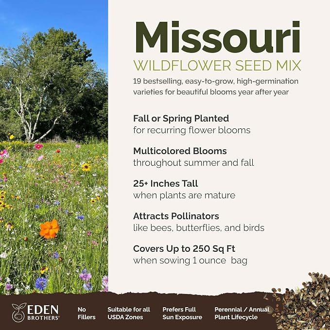Eden Brothers Missouri Wildflower Mixed Seeds for Planting, 1 oz, 30,000+ Seeds with Lupine, Coreopsis | Attracts Pollinators, Plant in Spring or Fall, Zones