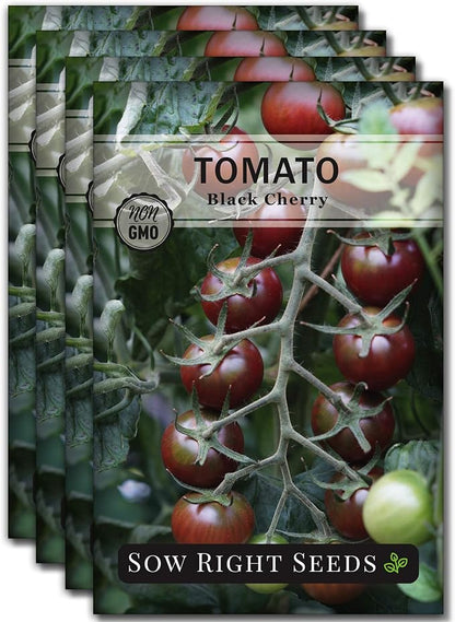 Sow Right Seeds - Black Cherry Tomato Seeds for Planting - Non-GMO Heirloom Packet with Instructions to Plant a Home Vegetable Garden - Tasty Snacking Variety, Start Indoors - Indeterminate (4)