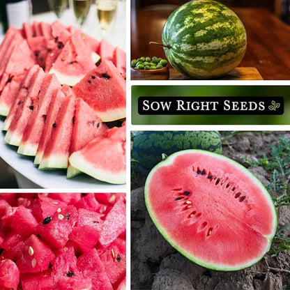 Sow Right Seeds - Crimson Sweet Watermelon Seeds for Planting - Non-GMO Heirloom Packet with Instructions to Plant a Home Vegetable Garden - Large Red Melon with Sweet Flesh - Summer Variety (3)