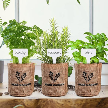Indoor Herb Garden Starter Kit, 5 Non-GMO Herb Seeds - Basil, Parsley, Rosemary, Thyme, and Mint with Complete Planting Set for Kitchen Herb Garden DIY