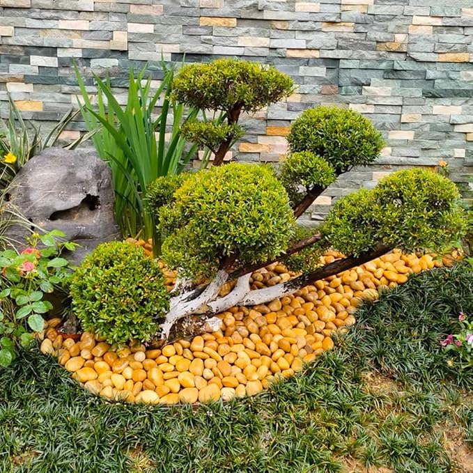 YISZM 40lbs Yellow River Rocks for Landscaping, 1-2 Inch Natural Pebbles for Indoor Plants, High Polished Decorative Stones Garden Outdoor and Indoor DIY Vase Filler Fish Tank Aquariums