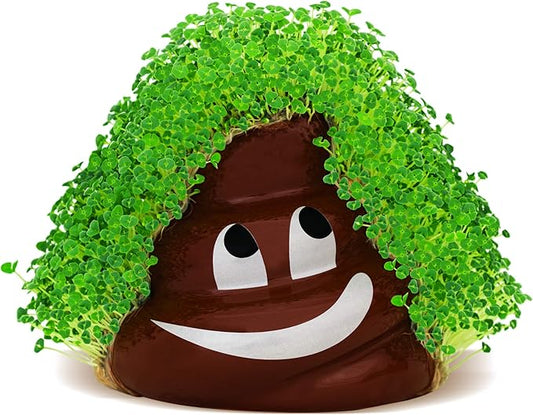Chia Pet Emoji Poopy with Seed Pack, Decorative Pottery Planter, Easy to Do and Fun to Grow, Novelty Gift, Perfect for Any Occasion