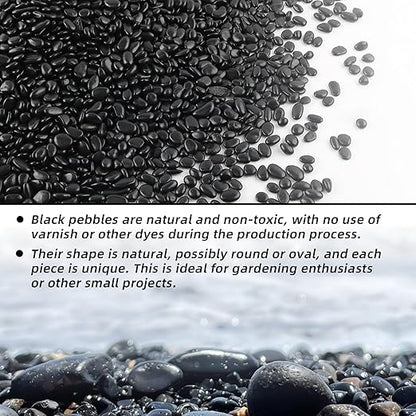 18lb 1/4" Small Pebbles Black for Plants,Potting,Succulents Aquarium Fish Tank Vases Decorative Garden Polished Gravel Rocks Stones