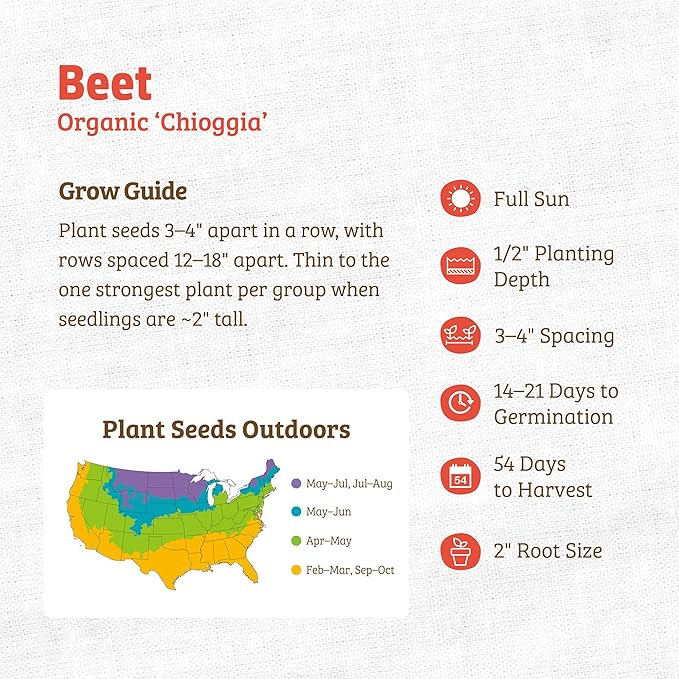Back to The Roots 100% Organic Heirloom Seeds - Candy Stripe Beets Value Pack (1g Total)