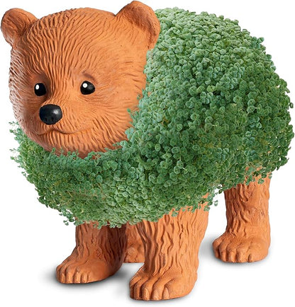 Chia Pet Bear Cub with Seed Pack, Decorative Pottery Planter, Easy to Do and Fun to Grow, Novelty Gift, Perfect for Any Occasion