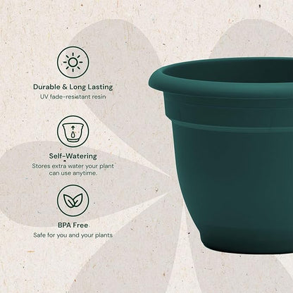 Bloem Ariana 6" Charleston Round Self-Watering Resin Planter Pot - Rolled Rim Indoor and Outdoor Gardening Planter