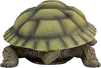Design Toscano Gilbert the Box Turtle Indoor/Outdoor Garden Decor Animal Statue, Set of Two, 9 Inch Long, Cast Stone Resin, Green Painted Finish