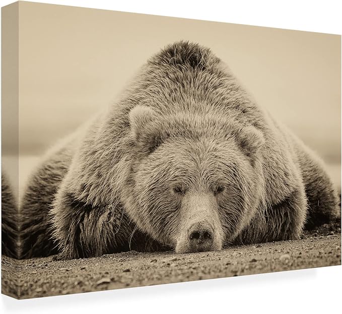 Trademark Fine Art Outdoor Canvas Art - Phburchett 'Deep Sleep' Wall Art for Outdoor Spaces, Patios, or Gardens