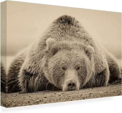 Trademark Fine Art Outdoor Canvas Art - Phburchett 'Deep Sleep' Wall Art for Outdoor Spaces, Patios, or Gardens