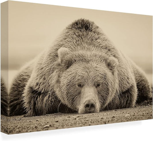 Trademark Fine Art Outdoor Canvas Art - Phburchett 'Deep Sleep' Wall Art for Outdoor Spaces, Patios, or Gardens