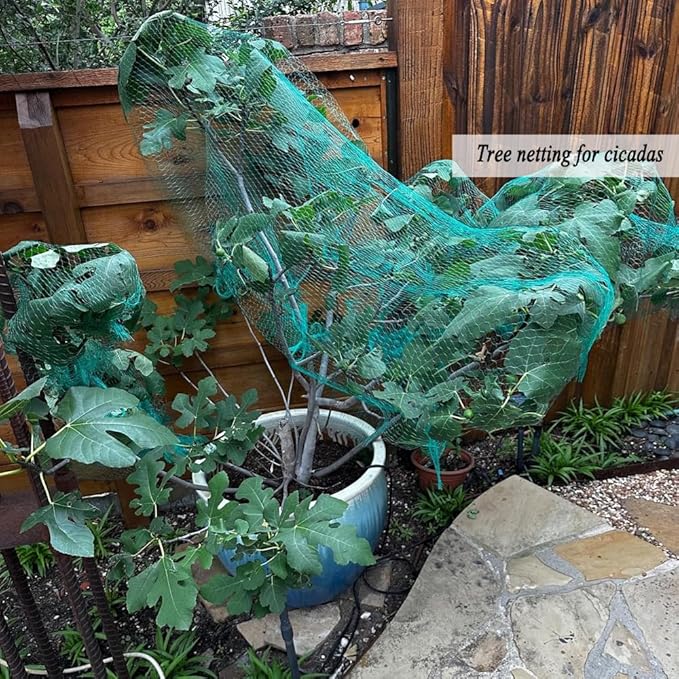 Bird Netting for Garden 6.5X50 FT, 1/4 Inch Mesh, Protect Blueberry, Strawberry, Tomatos, Vegetables. Fruit Tree Netting for Cicadas Against Deers, Squirrels, Bunnies, and Small Critters.