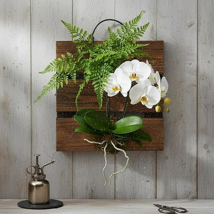 Staghorn Fern Mounting Board Kit Wooden Wall Planter Hanging Plant Holder for Vertical Plant,Platycerium,Orchids,Succulents(Square)