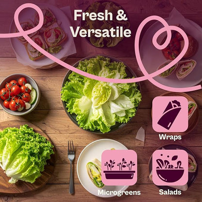 SVI 3000 Buttercrunch Lettuce Seeds (Lactuca Sativa) – Butter Lettuce Head Seed Packets Bulk – Heirloom Vegetable Seeds for Outdoor & Indoor Vegetable Garden, Containers