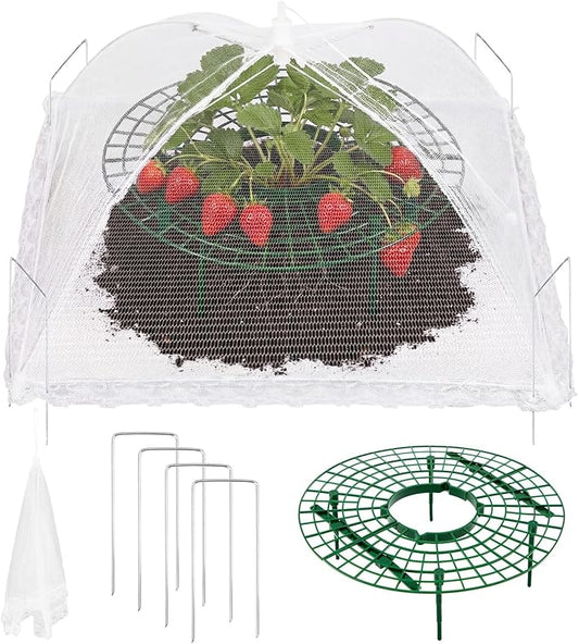 1 Sets Round Strawberry Plant Support with Mesh Plant Cover, Strawberry Growing Kit with Iron Nails for Garden Vegetables Keep Berries Clean