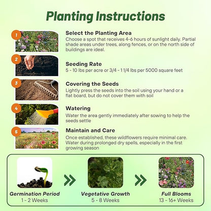 Outsidepride Partial Shade Wild Flower Seed Mix for All States - 1/4 lb. Premium Blend of Annual & Perennial Wildflowers, Perfect for Partial Shade Areas, & Outdoor Planting for Gardens & Lawns