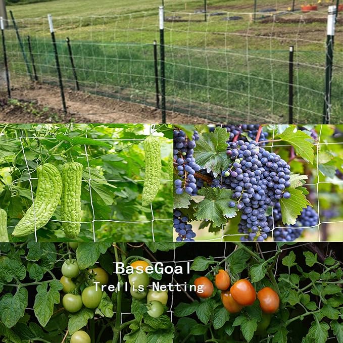 BaseGoal All-Weather Trellis Netting Mesh Plant Garden Vine Growing Flexible String Net (6" Mesh ployester, 5' Wx 15'L)