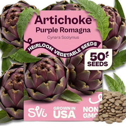 SVI 50 Purple Romagna Artichoke Seeds (Cynara scolymus) – Roman Artichokes Seed Packets, Non GMO Artichoke Vegetable Garden Seed – Heirloom Vegetable Seeds for Outdoor Garden, Containers