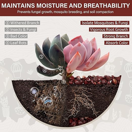 NUPICK 12 lbs Pebbles for Indoor Plants, 3/8 Inch Pea Gravel for Fish Tank, Polished Decorative Rocks for Succulent, Natural River Stones for Vases, Cactus, Landscaping, Bird Bath, Aquarium, Red