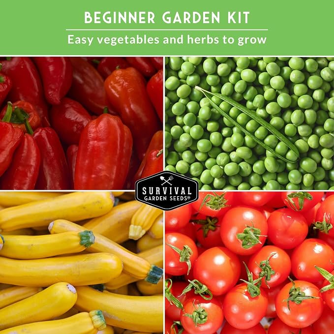 Easy to Grow Vegetable & Herb Seed Collection - 10 Packs of Non-GMO Heirloom Open-Pollinated Veg & Herb Essentials for Gardening Beginners - Seed Saver Instructions on Packets - Survival Garden Seeds