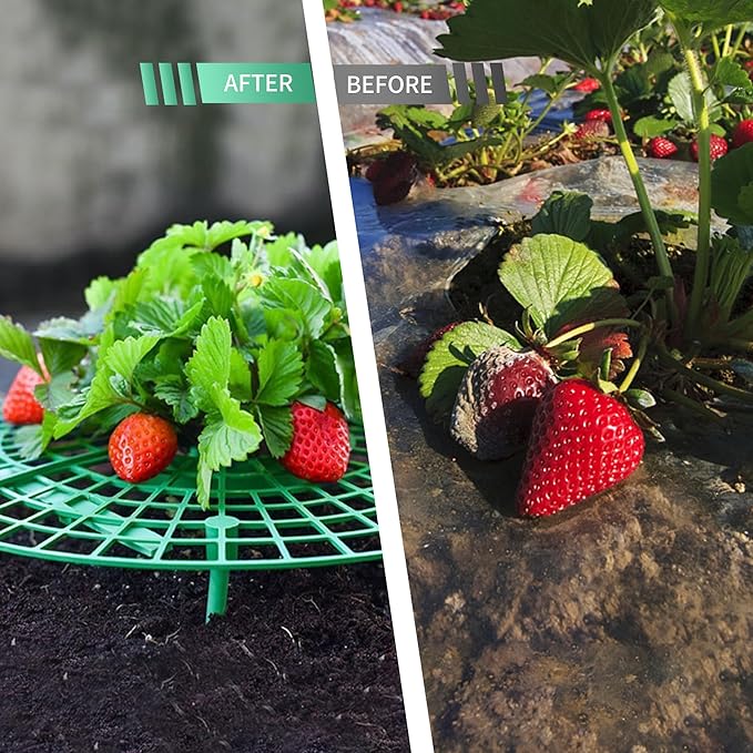 SooGree 5 Pack Strawberry Supports, Strawberry Holder Cradles for Garden, Fruit Plant Cage Plastic Tray Keep Strawberries Off Rot and Dirt
