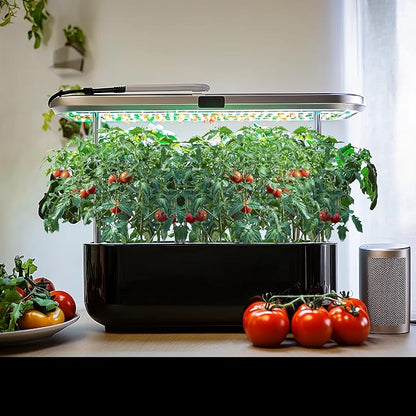 1,500+ Tomato Seeds, Heirloom Vegetable Seed for Planting Indoor Outdoor, 10 Varieties Salad Tomato Seeds Garden Hydroponic Kit, Non-GMO Home Hydroponic Fresh Food Veggie Supply