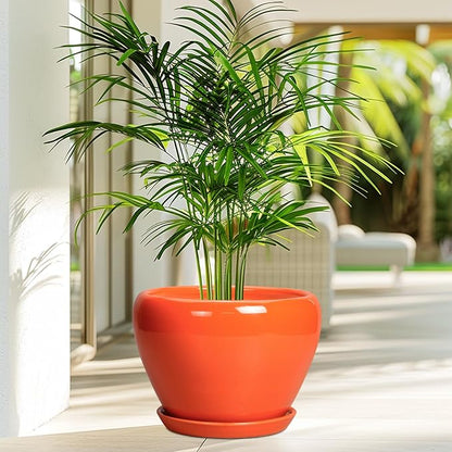 Ceramic Pot for Plants - 10 Inch Plant Pot with Drainage Hole and Saucer, Modern Round Glaze Planter for Indoor Outdoor Plants, Plant Lover Gifts, Home Garden Office Decor, Orange