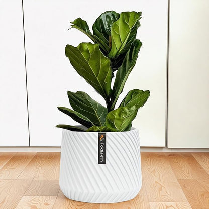 Fox & Fern Large 12 Inch Planter with Drainage Plug — Premium Polystone White Plant Pot - Modern Planter with 3D Texture and Ceramic Finish - 12 Inch Pots for Plants Indoor & Outdoor