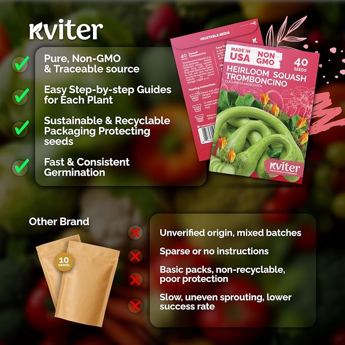 KVITER 40 Tromboncino Squash Seeds (Cucurbita Moschata) – Zucchetta Rampicante, Climbing, Dual-Purpose Squash, Heirloom Seed Packets - Vegetable Seeds for Outdoor Vegetable Garden & Trellises