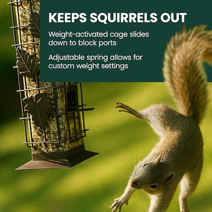 Perky-Pet 336-1SR Squirrel-Be-Gone Squirrel Proof Bird Feeder, 2LB, Outdoor Wild Bird Feeder with Weight-Activated Perches