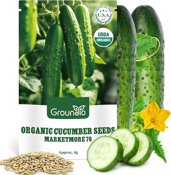 Groundio Organic Cucumber Seeds (Marketmore), High Germination Seeds for Planting, Hardy Vigorous Slicing Cucumbers (Cucumis sativus)