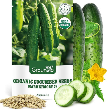 Groundio Organic Cucumber Seeds (Marketmore), High Germination Seeds for Planting, Hardy Vigorous Slicing Cucumbers (Cucumis sativus)