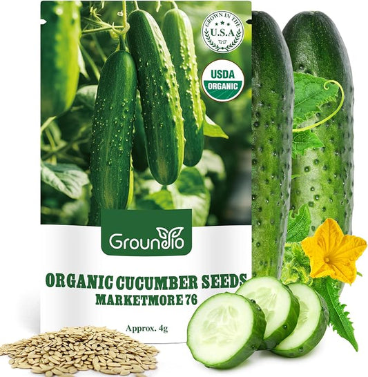 Groundio Organic Cucumber Seeds (Marketmore), High Germination Seeds for Planting, Hardy Vigorous Slicing Cucumbers (Cucumis sativus)