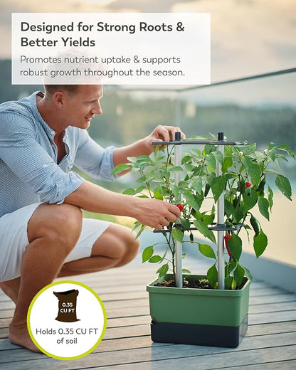 BUZZY Seeds Charly Chili Self-Watering Planter with Vertical Trellis – 1.2 Gal Reservoir, Large Capacity Planter for Chili Peppers, Bell Peppers & Eggplants (Green)