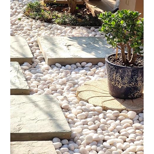 FANTIAN 40 lbs White River Rocks for Landscaping, 2-3 Inch Polished Pebbles for Indoor Plants, Decorative White Stones for Planters, Vase, Aquarium, Fish Tank and Garden