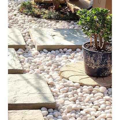 FANTIAN 40 lbs White River Rocks for Landscaping, 2-3 Inch Polished Pebbles for Indoor Plants, Decorative White Stones for Planters, Vase, Aquarium, Fish Tank and Garden