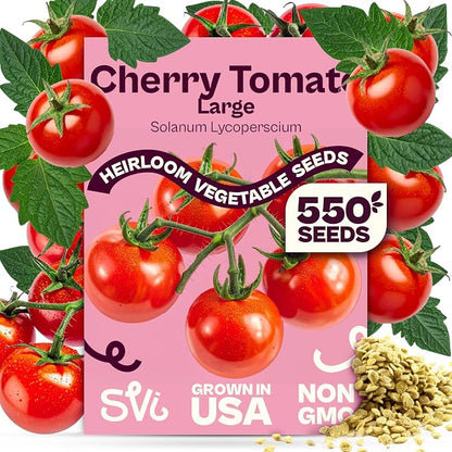 SVI 550 Large Red Cherry Tomato Seeds (Solanum lycoperscium) – Cherry Tomatoes Seed Packets, Mini Tomatoes On The Vine – Heirloom Vegetable Seeds in Home Garden, Containers, Greenhouses