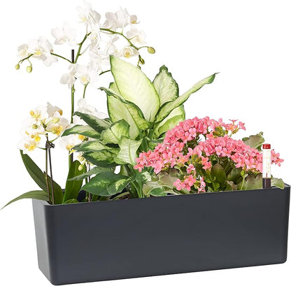 Elongated Self Watering Planter Pots Window Box 5.5 x 16 inch Indoor Home Garden Modern Decorative Planter Pot for All House Plants Flowers Herbs (Dark Grey,1-Pack)
