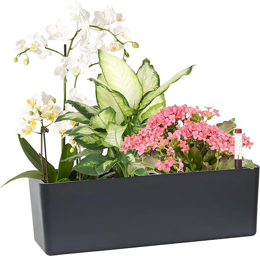 Elongated Self Watering Planter Pots Window Box 5.5 x 16 inch Indoor Home Garden Modern Decorative Planter Pot for All House Plants Flowers Herbs (Dark Grey,1-Pack)