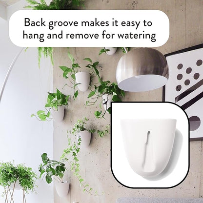 Make Good PlantPod Luxe - Self-Watering Wall Planters (Set of 6) - Easy to Water and Install - Lightweight - Design Your Own Vertical Garden - Wall Planters for Indoor Plants