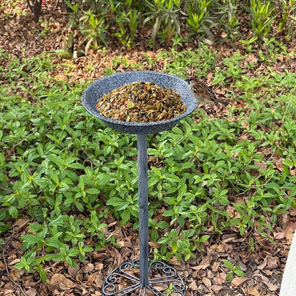 Outdoor Garden Bird Bath, 25.5 inch Height Bird Feeder, Metal Birdbath with Dragonfly for Garden Yard Patio Lawn Decoration, Gray