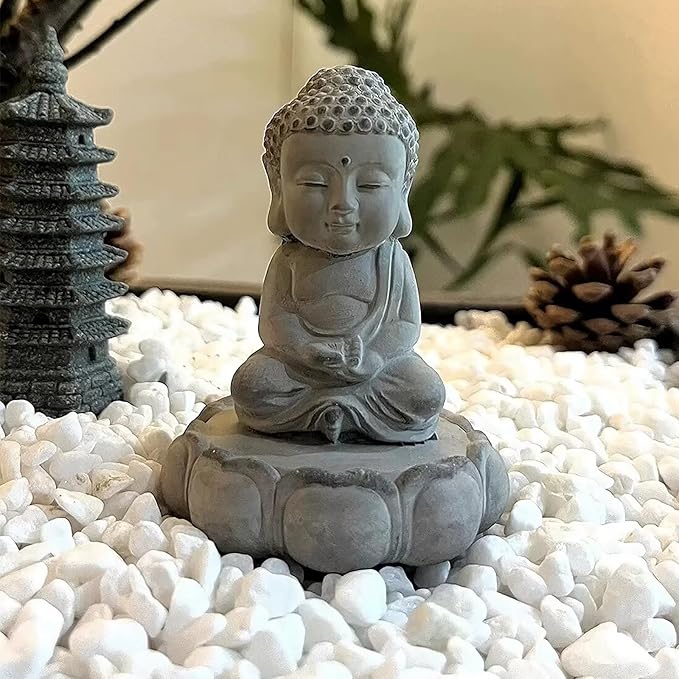 FANTIAN 20 lbs White River Rocks for Landscaping, 0.5-1 Inch Pebbles for Indoor Plants, Decorative Stones for Succulent, Cactus, Vases, Aquariums, Crafting and Garden