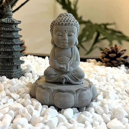 FANTIAN 10 lbs White River Rocks for Garden, 0.5-1 Inch Pebbles for Indoor Plants, Decorative Stones for Landscaping, Succulent, Vases, Aquariums and Zen Garden