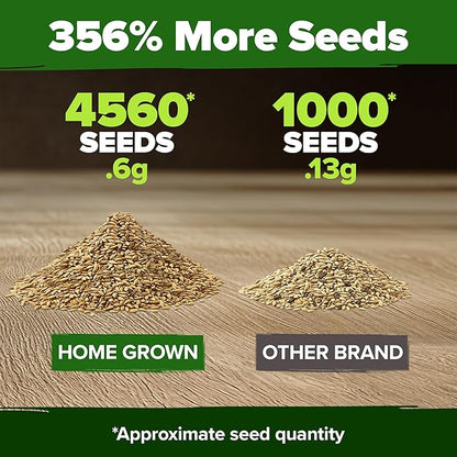 HOME GROWN German Chamomile Seed Pack – 4,560 Heirloom Seeds for Planting for Sustainable Gardens and Soothing Medicinal Herbal Teas (Matricaria chamomilla)