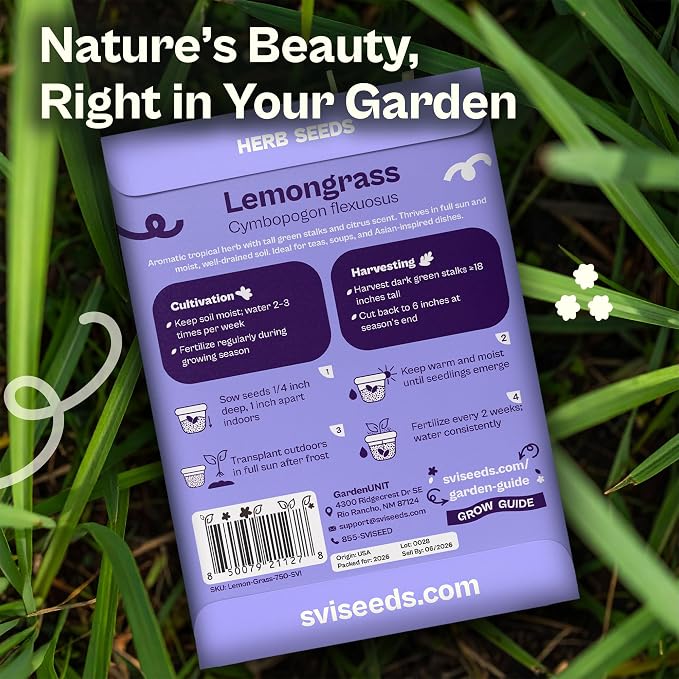 SVI 750 Lemongrass Seeds (Cymbopogon flexuosus) – West Indian Lemon Grass Seed Packets – Non GMO Heirloom Aromatic Culinary Herb Seeds for Containers, Outdoor & Indoor Herb Garden